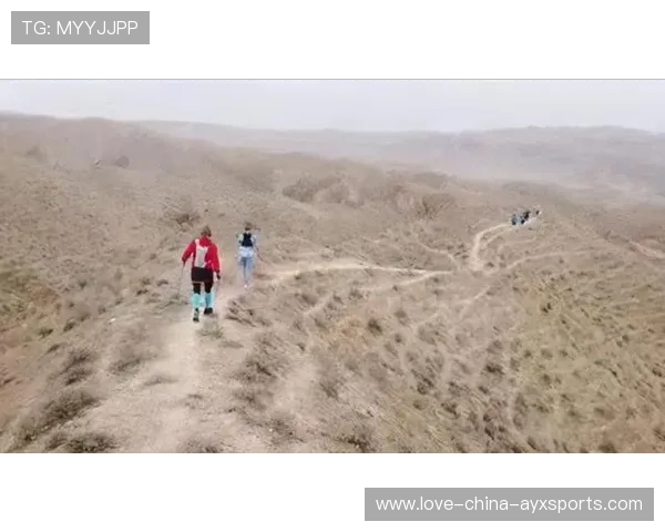 太阳遭遇禁赛锋线震荡：未来赛季的变数与应对之道